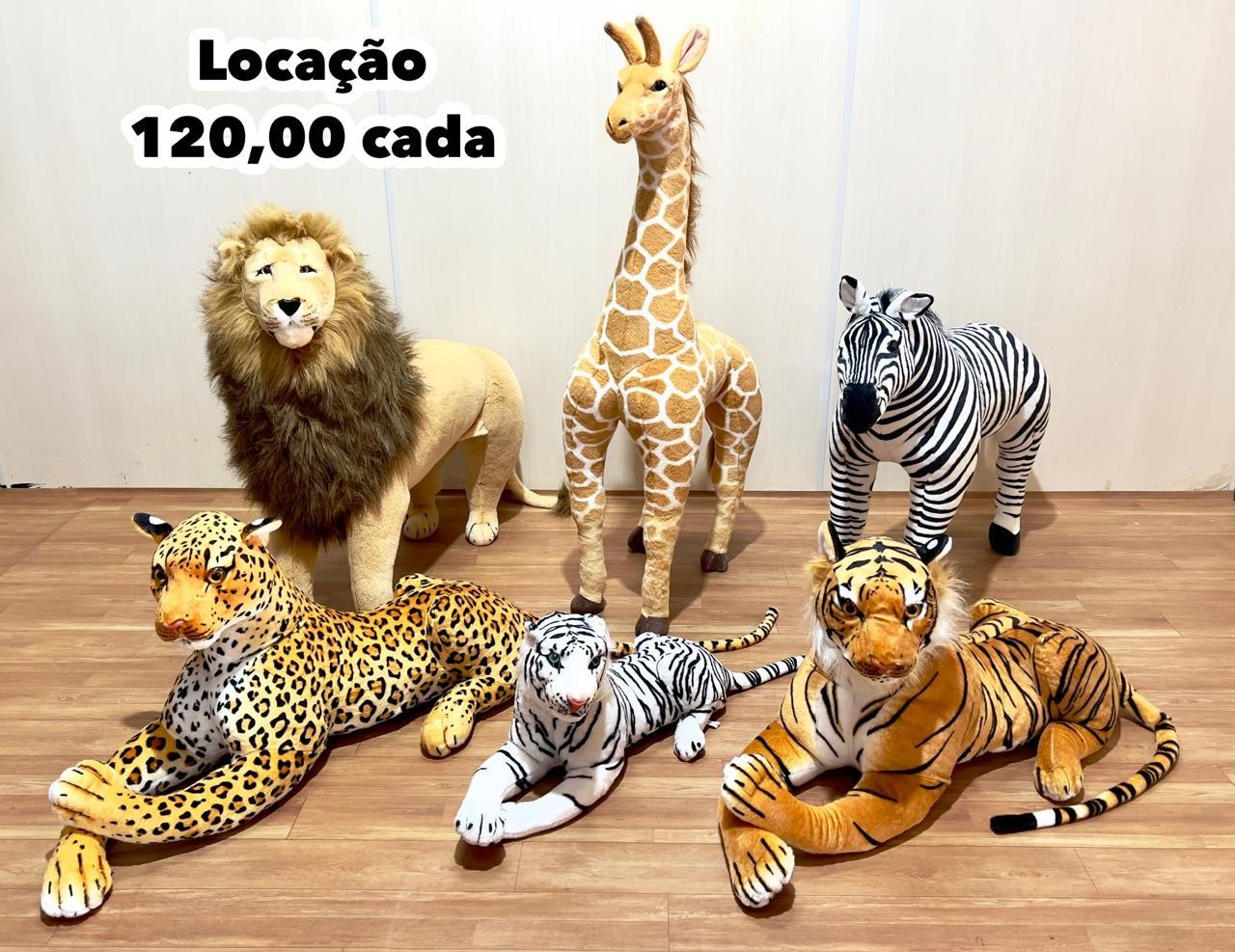 animais.jfif
