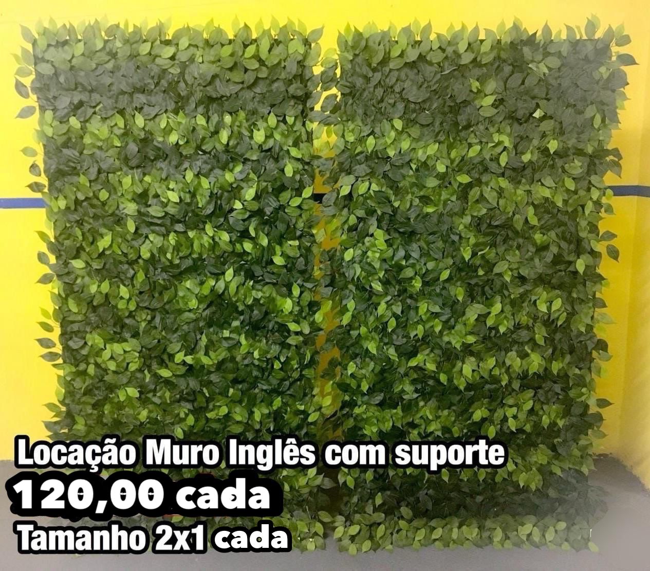MURO INGLÊS.jpg